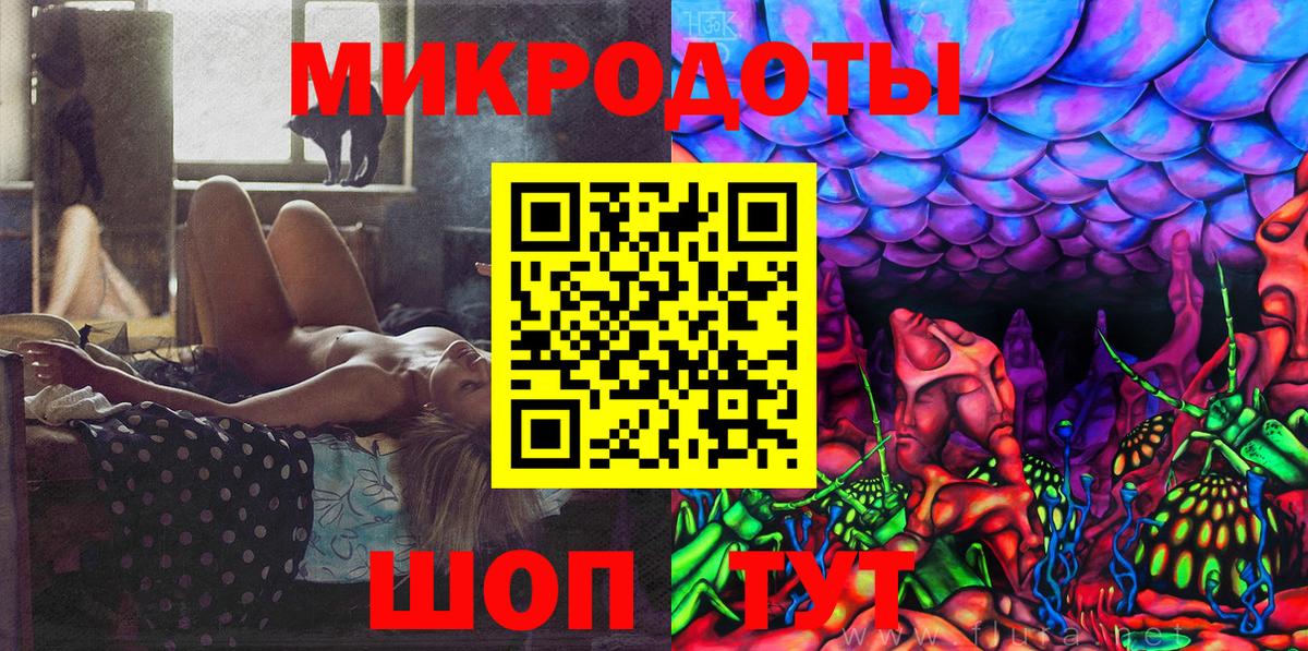 Псилоцибиновые грибы Cubensis Саранск
