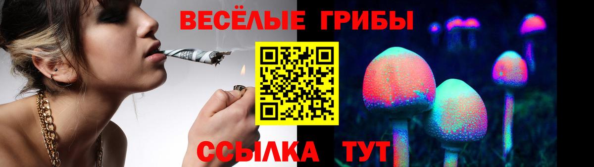 закладки  Псилоцибиновые грибы прущие грибы  Галлюциногенные грибы Psilocybe  Вход с VPN  Саранск 